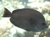 2012-10-22-00760