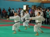 2013-03-10-0294
