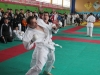 2013-03-10-0333
