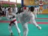 2013-03-10-0385
