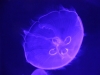 2013-07-20-0507