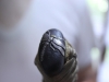 2013-07-28-0106