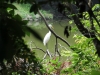 2013-08-01-0076