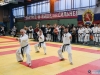 VIII Чемпионат и Первенство России по Каратэ WKC и Всероссийский турнир по Всестилевому Каратэ 23-26.02.2017-104