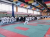 VIII Чемпионат и Первенство России по Каратэ WKC и Всероссийский турнир по Всестилевому Каратэ 23-26.02.2017-117