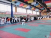 VIII Чемпионат и Первенство России по Каратэ WKC и Всероссийский турнир по Всестилевому Каратэ 23-26.02.2017-118
