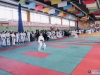 VIII Чемпионат и Первенство России по Каратэ WKC и Всероссийский турнир по Всестилевому Каратэ 23-26.02.2017-120