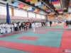 VIII Чемпионат и Первенство России по Каратэ WKC и Всероссийский турнир по Всестилевому Каратэ 23-26.02.2017-130